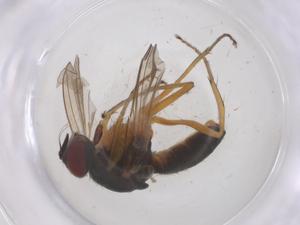  ( - CBG-B02504-A01)  @11 [ ] CreativeCommons - Attribution Share - Alike (2025) Centre for Biodiversity Genomics Centre for Biodiversity Genomics