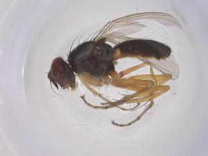  ( - CBG-B02504-A09)  @11 [ ] CreativeCommons - Attribution Share - Alike (2025) Centre for Biodiversity Genomics Centre for Biodiversity Genomics