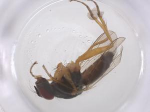  ( - CBG-B02504-B01)  @11 [ ] CreativeCommons - Attribution Share - Alike (2025) Centre for Biodiversity Genomics Centre for Biodiversity Genomics