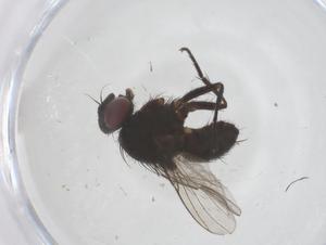  ( - CBG-B20450-C08)  @11 [ ] CreativeCommons - Attribution Share - Alike (2025) Centre for Biodiversity Genomics Centre for Biodiversity Genomics