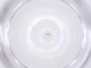  ( - CBG-B20475-E02)  @11 [ ] CreativeCommons - Attribution Share - Alike (2025) Centre for Biodiversity Genomics Centre for Biodiversity Genomics