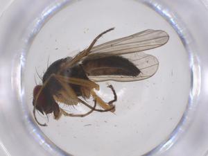  ( - CBG-B20789-E03)  @11 [ ] CreativeCommons - Attribution Share - Alike (2025) Centre for Biodiversity Genomics Centre for Biodiversity Genomics