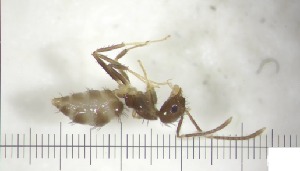  ( - RE21-AT1-FOR-0267)  @11 [ ] CreativeCommons - Attribution Non-Commercial (by-nc) (2021) Unspecified Technischer Universität Darmstadt