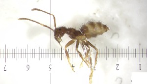  ( - RE21-AT1-FOR-0269)  @11 [ ] CreativeCommons - Attribution Non-Commercial (by-nc) (2021) Unspecified Technischer Universität Darmstadt