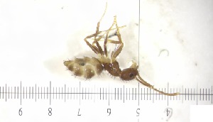  ( - RE21-AT1-FOR-0271)  @11 [ ] CreativeCommons - Attribution Non-Commercial (by-nc) (2021) Unspecified Technischer Universität Darmstadt