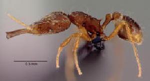  ( - CASENT0061378-D01)  @13 [ ] Unspecified (default): All Rights Reserved  Unspecified Unspecified