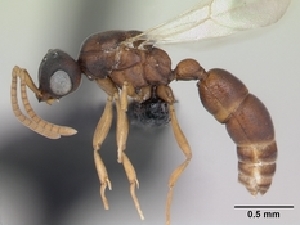  ( - CASENT0050214-D01)  @13 [ ] Unspecified (default): All Rights Reserved  Unspecified Unspecified