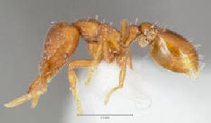  ( - CASENT0141756-D01)  @13 [ ] Unspecified (default): All Rights Reserved  Unspecified Unspecified