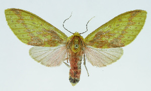  ( - INB0004073206)  @14 [ ] CreativeCommons - Attribution Non-Commercial No Derivatives (2011) Alex Smith University of Guelph