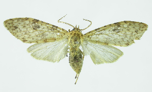  ( - INB0004116071)  @13 [ ] CreativeCommons - Attribution Non-Commercial No Derivatives (2011) Alex Smith University of Guelph