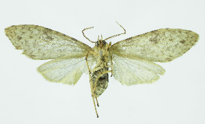  ( - INB0004116071)  @13 [ ] CreativeCommons - Attribution Non-Commercial No Derivatives (2011) Alex Smith University of Guelph