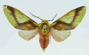  ( - INB0004143798)  @14 [ ] CreativeCommons - Attribution Non-Commercial No Derivatives (2011) Alex Smith University of Guelph