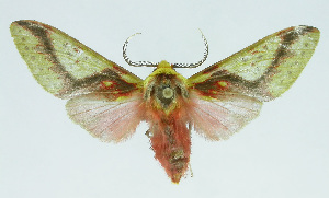  ( - INB0004160697)  @14 [ ] CreativeCommons - Attribution Non-Commercial No Derivatives (2011) Alex Smith University of Guelph