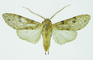  ( - INB0004187978)  @13 [ ] CreativeCommons - Attribution Non-Commercial No Derivatives (2011) Alex Smith University of Guelph