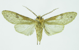  ( - INB0004187978)  @13 [ ] CreativeCommons - Attribution Non-Commercial No Derivatives (2011) Alex Smith University of Guelph