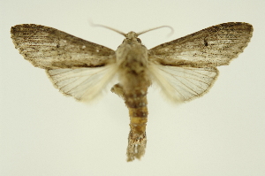  ( - INB0003146730)  @11 [ ] Copyright (2012) Juan Mata Lorenzen Unspecified
