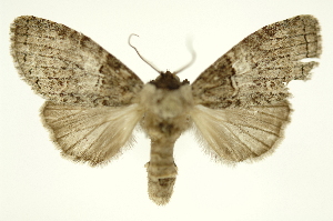  ( - INB0003521197)  @13 [ ] Copyright (2012) Juan Mata Lorenzen Unspecified