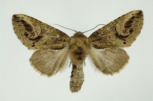  ( - INB0003860714)  @13 [ ] Copyright (2012) Juan Mata Lorenzen Unspecified