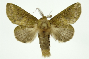  ( - INB0004091131)  @14 [ ] Copyright (2012) Juan Mata Lorenzen Unspecified
