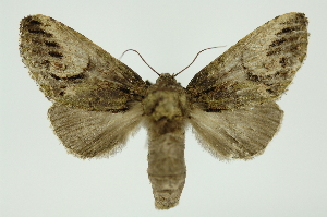  ( - INB0004162586)  @13 [ ] Copyright (2012) Juan Mata Lorenzen Unspecified