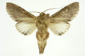  ( - INB0004187699)  @14 [ ] Copyright (2012) Juan Mata Lorenzen Unspecified