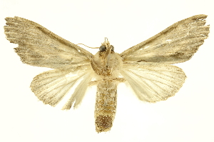  ( - INBIOCRI000849892)  @12 [ ] Copyright (2012) Juan Mata Lorenzen INBio