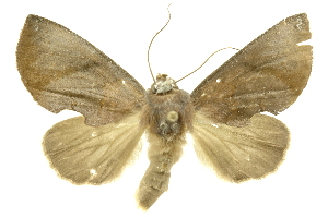  ( - INBIOCRI000932269)  @14 [ ] Copyright (2012) Juan Mata Lorenzen Unspecified