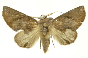  ( - INBIOCRI001166177)  @14 [ ] Copyright (2012) Juan Mata Lorenzen Unspecified
