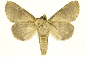  ( - INBIOCRI001624951)  @13 [ ] Copyright (2012) Juan Mata Lorenzen INBio