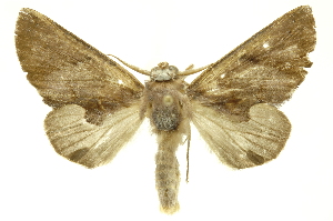  ( - INBIOCRI001754122)  @14 [ ] Copyright (2012) Juan Mata Lorenzen Unspecified