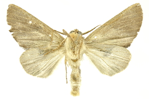  ( - INBIOCRI001754122)  @14 [ ] Copyright (2012) Juan Mata Lorenzen Unspecified