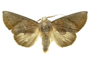  ( - INBIOCRI002451153)  @14 [ ] Copyright (2012) Juan Mata Lorenzen Unspecified