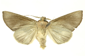  ( - INBIOCRI002451153)  @14 [ ] Copyright (2012) Juan Mata Lorenzen Unspecified