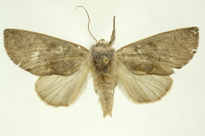  ( - INBIOCRI002457907)  @14 [ ] Copyright (2012) Juan Mata Lorenzen INBio