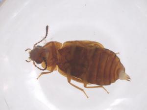  ( - 166-H14-tc1-J24)  @11 [ ] CreativeCommons - Attribution Share - Alike (2025) Centre for Biodiversity Genomics Centre for Biodiversity Genomics