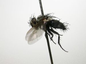  ( - Haber 000271)  @13 [ ] Unspecified (default): All Rights Reserved  Unspecified Unspecified