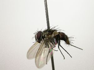  ( - Haber 000333)  @13 [ ] Unspecified (default): All Rights Reserved  Unspecified Unspecified