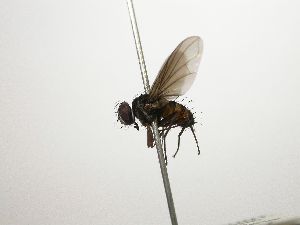  ( - Haber 000433)  @11 [ ] Unspecified (default): All Rights Reserved  Unspecified Unspecified