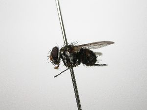  ( - INB0003073245)  @14 [ ] Unspecified (default): All Rights Reserved  Unspecified Unspecified