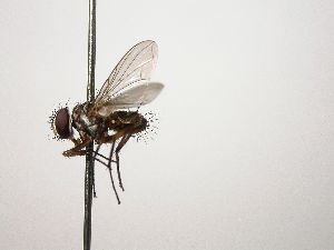  ( - INB0003073304)  @13 [ ] Unspecified (default): All Rights Reserved  Unspecified Unspecified