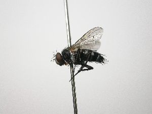  ( - INB0003565825)  @14 [ ] Unspecified (default): All Rights Reserved  Unspecified Unspecified