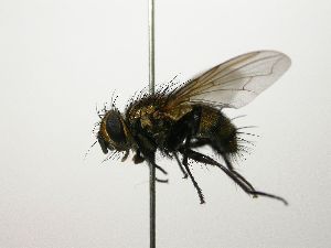  ( - Haber 000522)  @13 [ ] Unspecified (default): All Rights Reserved  Unspecified Unspecified