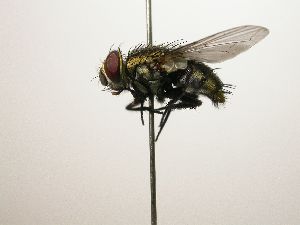  ( - Haber 000669)  @13 [ ] Unspecified (default): All Rights Reserved  Unspecified Unspecified