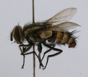  ( - INB0003165747)  @11 [ ] Unspecified (default): All Rights Reserved  Unspecified Unspecified