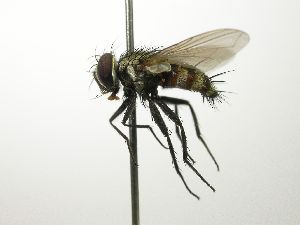  ( - INBIOCRI002253162)  @14 [ ] Unspecified (default): All Rights Reserved  Unspecified Unspecified