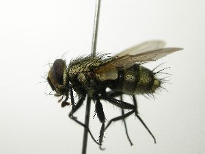  ( - inb0003061301)  @14 [ ] Unspecified (default): All Rights Reserved  Unspecified Unspecified