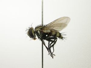  ( - inb0003156123)  @14 [ ] Unspecified (default): All Rights Reserved  Unspecified Unspecified
