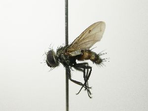  ( - inb0003365917)  @13 [ ] Unspecified (default): All Rights Reserved  Unspecified Unspecified