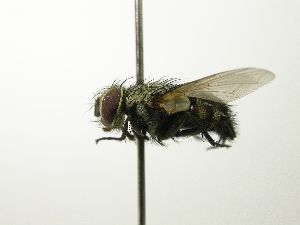  ( - INBIOCRI000873831)  @14 [ ] Unspecified (default): All Rights Reserved  Unspecified Unspecified