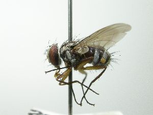  ( - INBIOCRI000935047)  @13 [ ] Unspecified (default): All Rights Reserved  Unspecified Unspecified